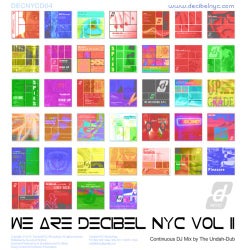 We Are Decibel NYC 2