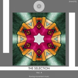 The Selection, Vol. 4