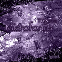 Microforms