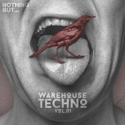 Nothing But... Warehouse Techno, Vol. 1