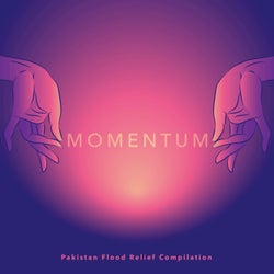 Momentum - Pakistan Flood Relief Compilation
