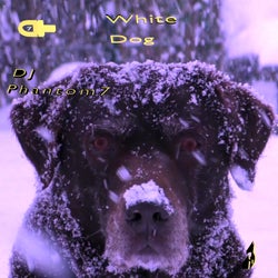 White Dog