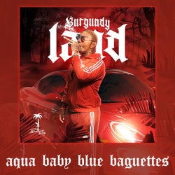 Aqua Baby Blue Baguettes