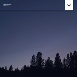 Under the Pines