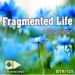 Fragmented Life