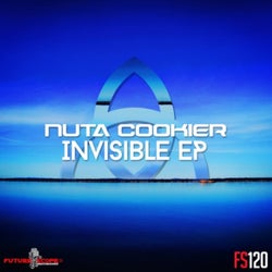 Invisible