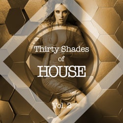Thirty Shades Of House, Vol. 2
