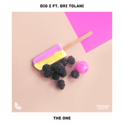 The One (feat. Bri Tolani)