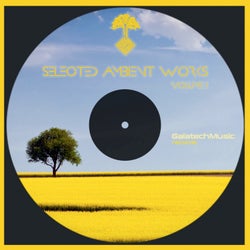 Selected Ambient Works Vol.1
