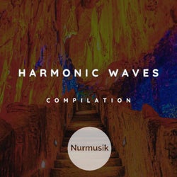 Harmonic Waves