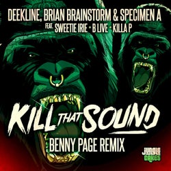 Kill That Sound (Benny Page Remix)