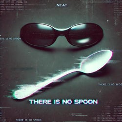 THERE IS NO SPOON