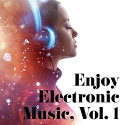 Enjoy Electronic Music, Vol. 1