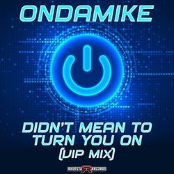 Didn't Mean To Turn You On