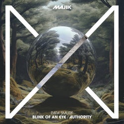 Blink of an Eye / Authority