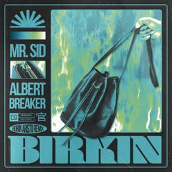 Birkin (Extended Mix, Robin Aristo Remix)