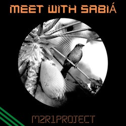 Meet with Sabiá (Original Mix)