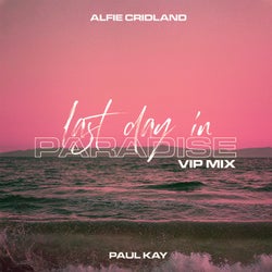 Last Day In Paradise (VIP Mix)