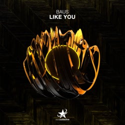 Like You (Extended Mix)