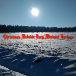Christmas Melodic Deep Minimal Techno (Volume 2)
