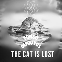 The Cat Is Lost