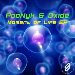 Moment Of Life EP