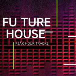 Peak Hour Tracks: Future House