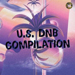 US DNB Compilation (Vol. 1)