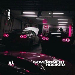GOVERNMENT HOOKER - PHONK