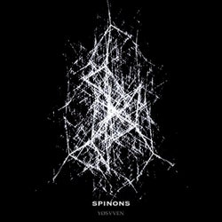 Spinons