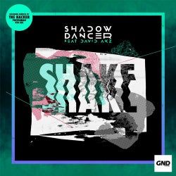 Shake (feat. David AKZ)