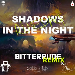 Shadows In The Night (BitterRude Remix)
