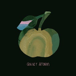 Quiet Storm