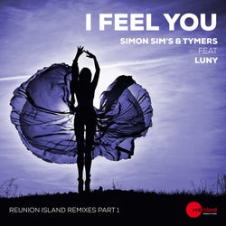 I Feel You(Reunion Island Remixes, Pt. 1)