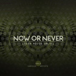 Now Or Never, Vol. 3 (Tech House ONLY!)