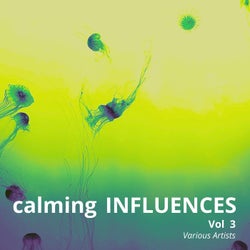 Calming Influences, Vol. 3