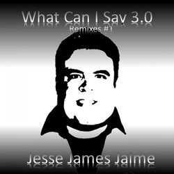 What Can I Say 3.0 (Remixes #1)