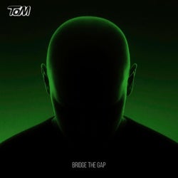 Bridge The Gap