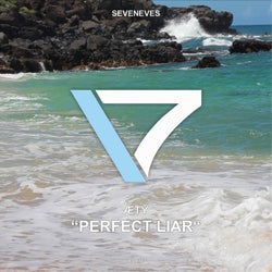 Perfect Liar