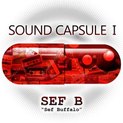 Sound Capsule 1