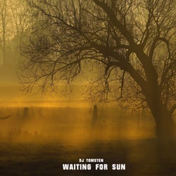 Waiting for Sun
