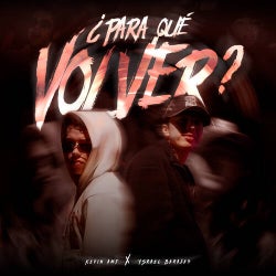 Para Qué Volver