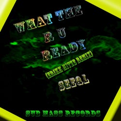 What the R U Ready (Erikk Hitze Remix) - Single