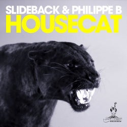 Slideback & Philippe B - Housecat