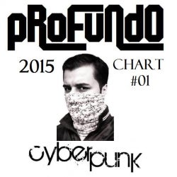 PROFUNDO Top Picks 2015 - #1
