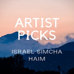 Artist Picks by Israel Simcha Haim