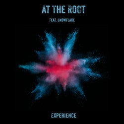 At The Root Experience (Remixes)