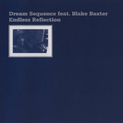 Endless Reflection