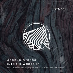 Into The Woods EP