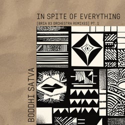 In Spite of Everything (Bria 83 Orchestra Remixes PT.1)